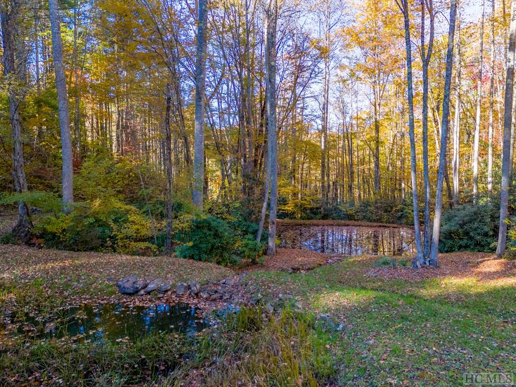 525 Comanche Road Cullowhee, NC 28723 - Photo 17 of 31 Gallery Image 17