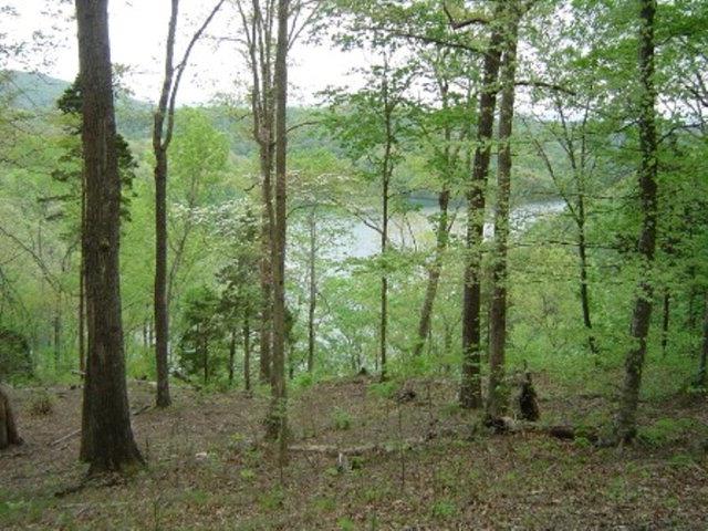 8928 Faix Road Byrdstown, TN 38549 - Photo 1 of 1 Gallery Image 1