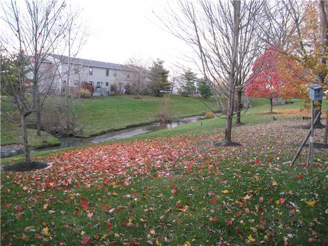 8179 Rochester Way Westerville, OH 43081 - Photo 12 of 12