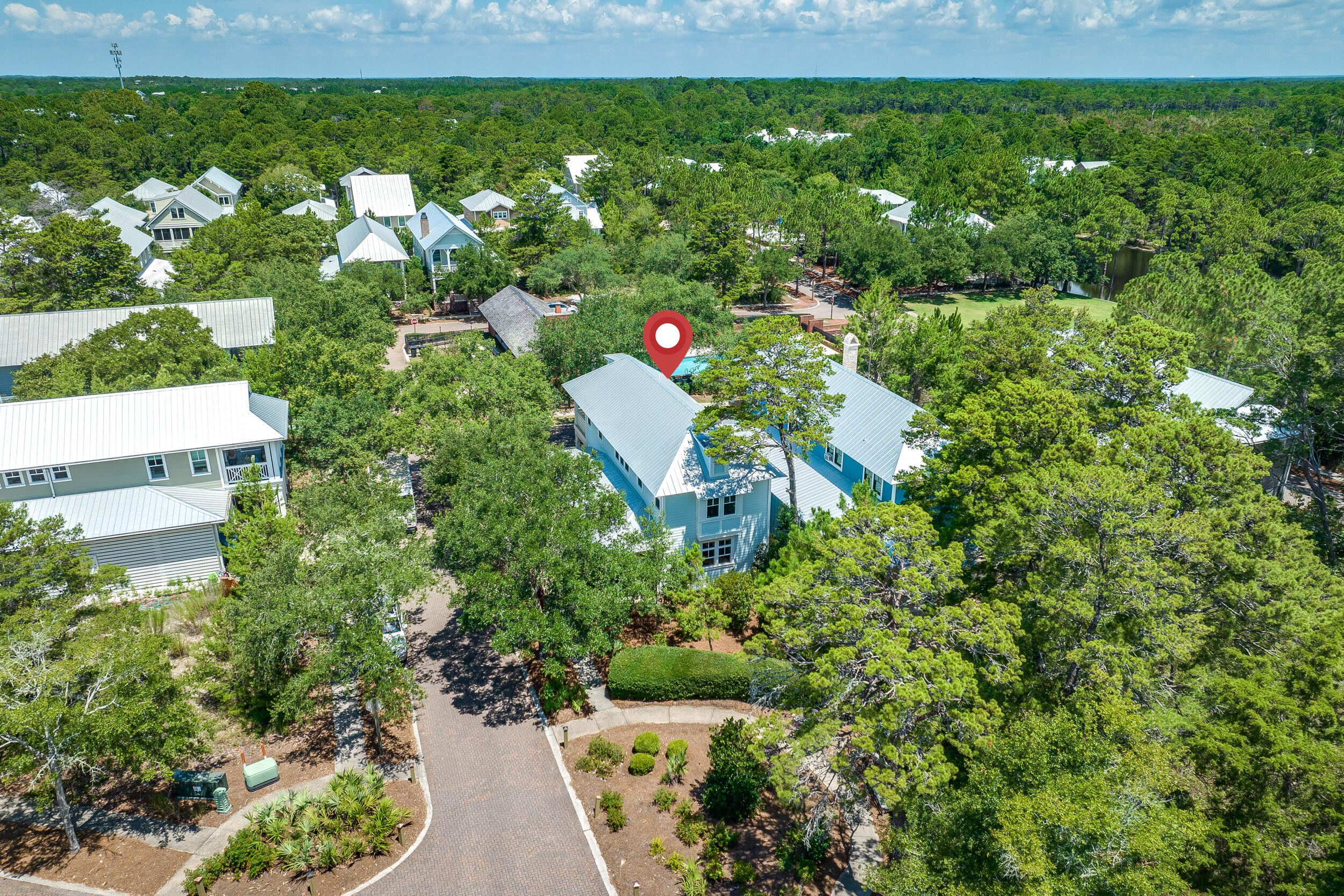 6 Pontchartrain South Santa Rosa Beach, FL 32459 - Photo 3 of 68 a plant view