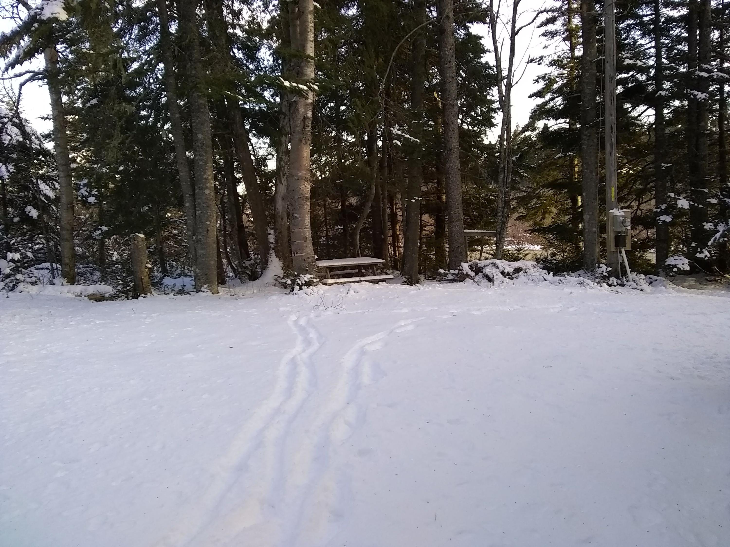 Map 1-lot Map 1-lot Boot Cove Road Lubec, ME 04652 - Photo 4 of 7 IMG_20181123_145559886