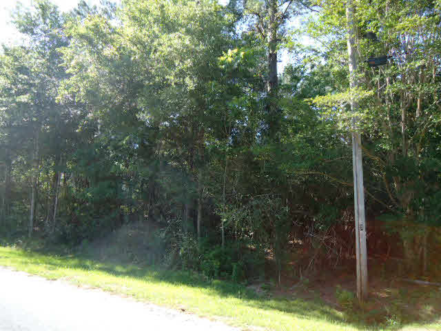 12297 Charlie Head Road Stapleton, AL 36578 - Photo 3 of 29 Wooded Lot