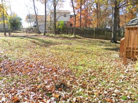 3421 Towne Village Road Antioch, TN 37013 - Photo 9 of 11 Lots of trees in large fenced in backyard