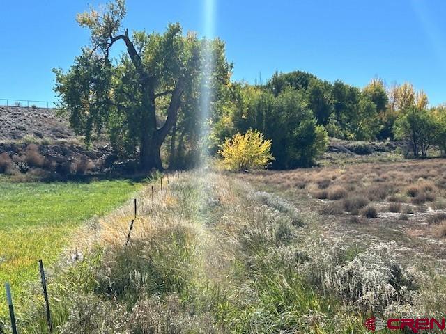 21148 H75 Road Delta, CO 81416 - Photo 29 of 30 a view of a yard with a tree