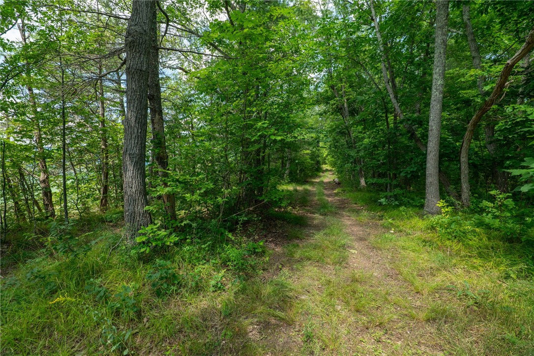 L16 MT Path Middleburgh, NY 12122 - Photo 3 of 29