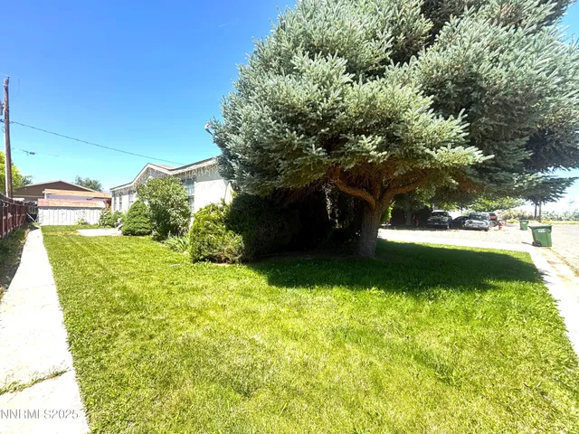 a view of a garden with large trees