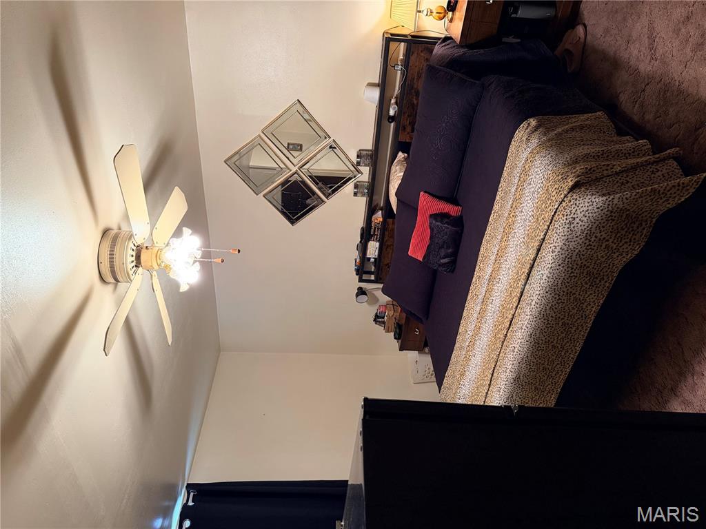 307 Benson Street Fredericktown, MO 63645 - Photo 13 of 16