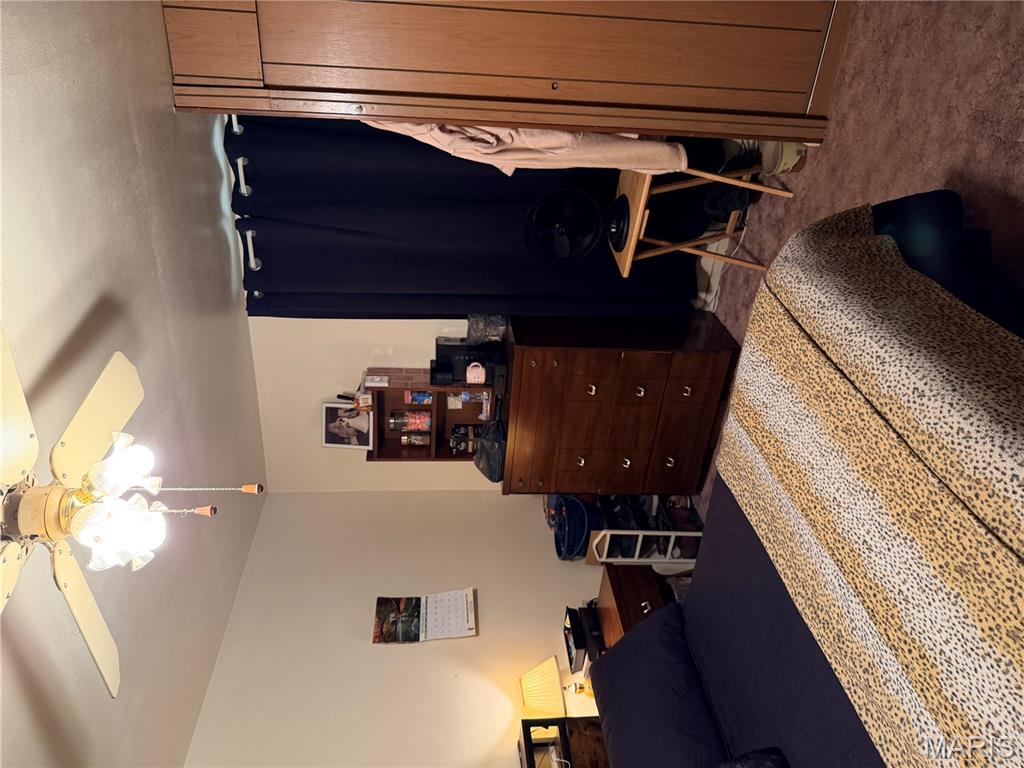 307 Benson Street Fredericktown, MO 63645 - Photo 14 of 16