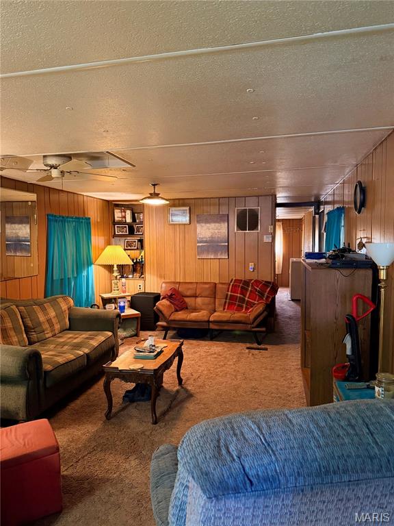 307 Benson Street Fredericktown, MO 63645 - Photo 7 of 16