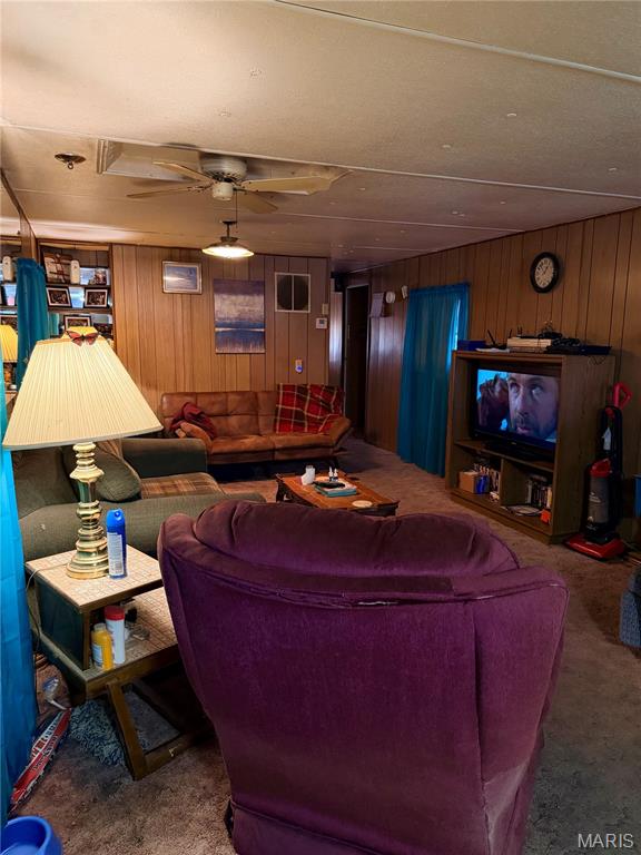 307 Benson Street Fredericktown, MO 63645 - Photo 8 of 16