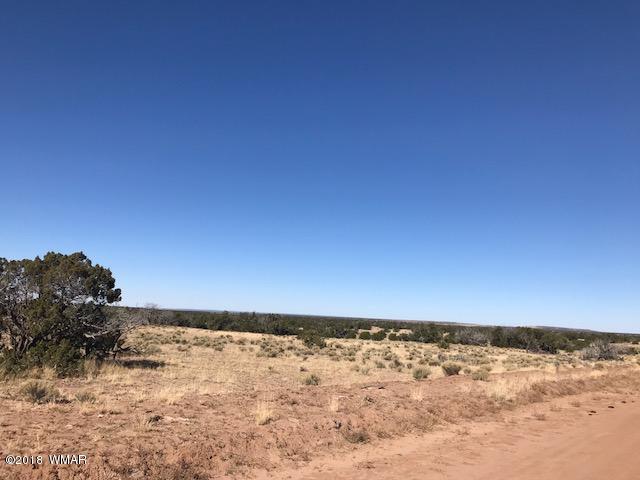 6268 C R 6299 St. Johns, AZ 85936 - Photo 1 of 1 a view of ocean view with beach