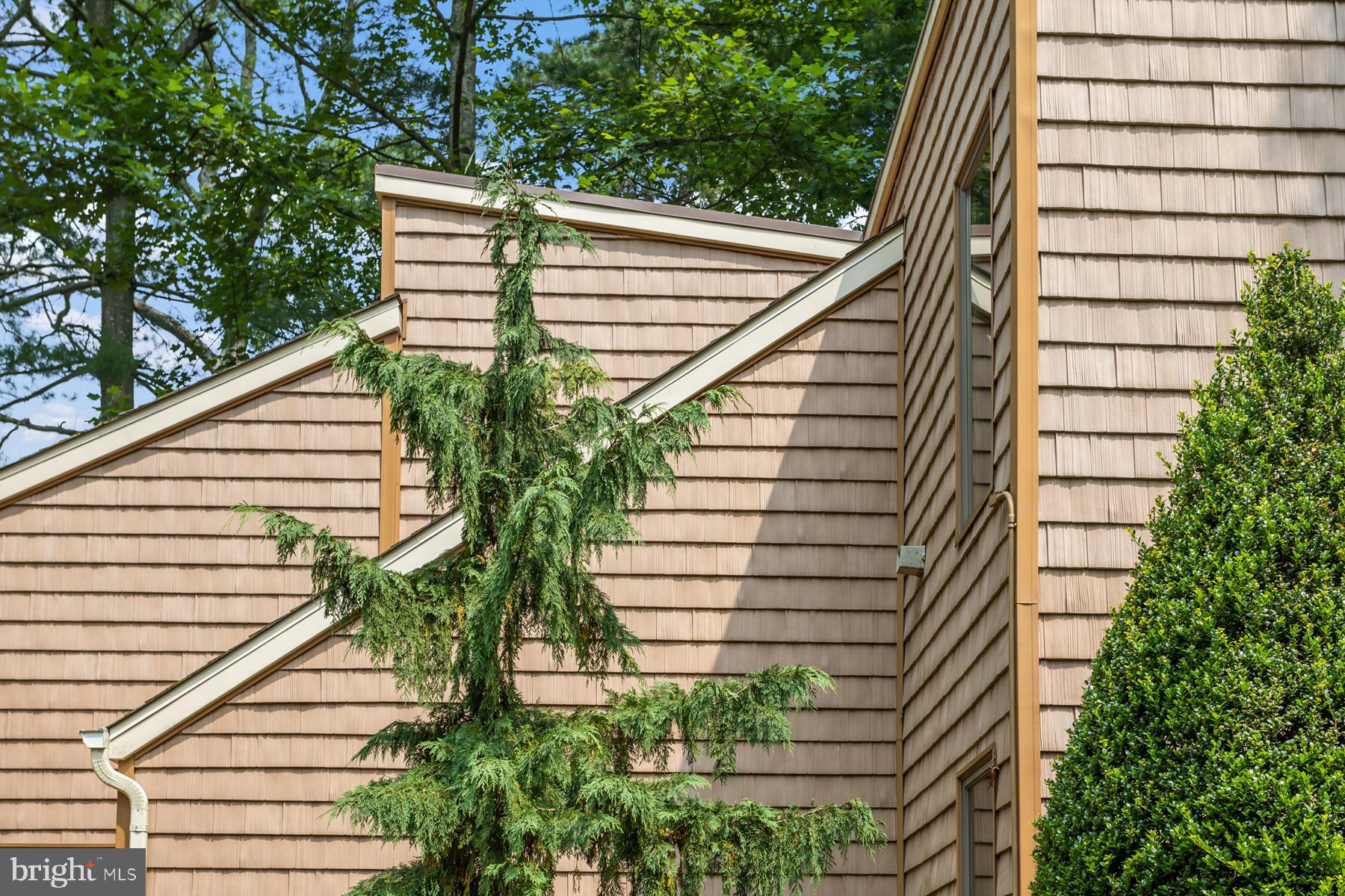 228 Main Avenue Milmay, NJ 08340 - Photo 50 of 90