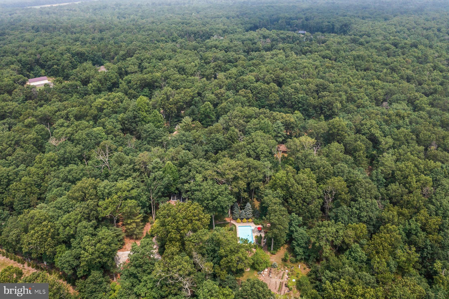 228 Main Avenue Milmay, NJ 08340 - Photo 81 of 90