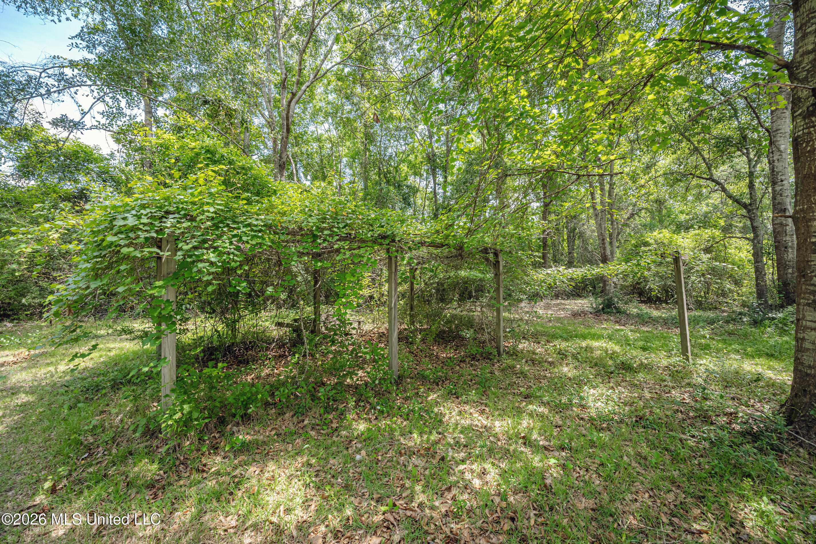 15608 Stanley Road Vancleave, MS 39565 - Photo 49 of 61 IMG_1178