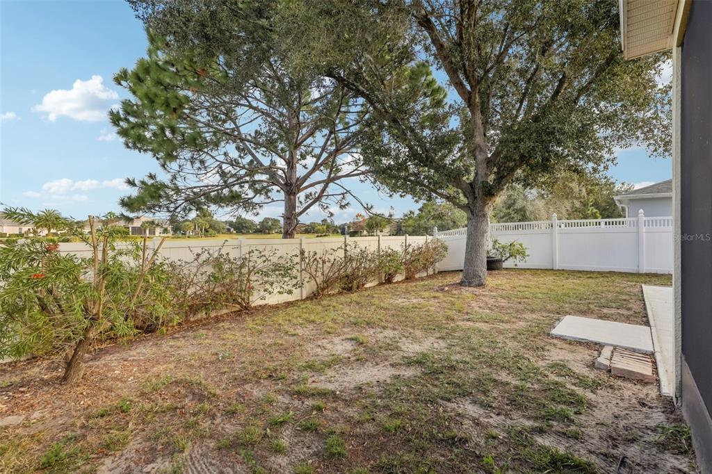 1689 Strathmore Circle Mount Dora, FL 32757 - Photo 35 of 37 a view of yard with tree in the background