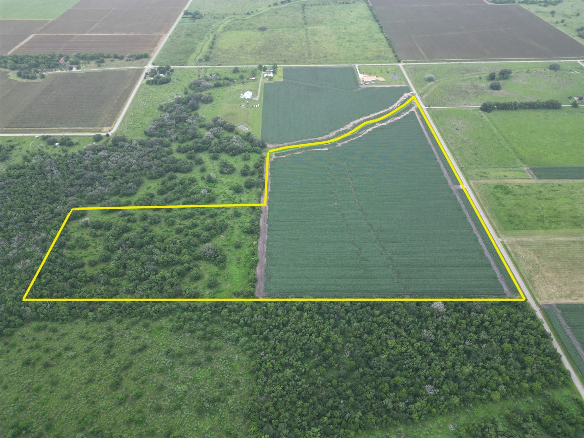 0 Charlie Meyer Road Damon, TX 77430 - Photo 4 of 13 Side view of land