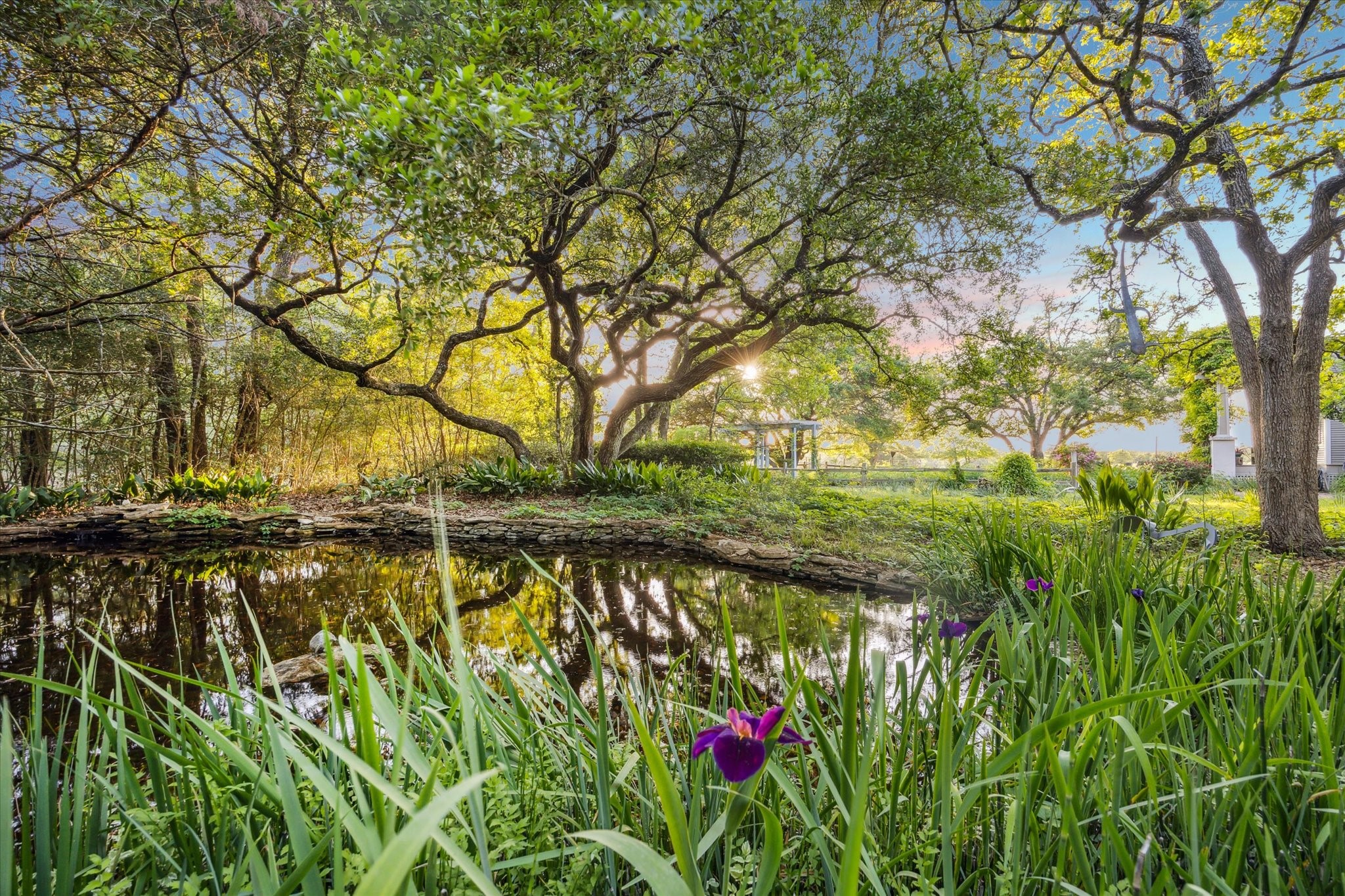 2915 Schulle Road Round Top, TX 78954 - Photo 38 of 50 Sunset view of the pond that is surrounded by lilies and live oak trees.