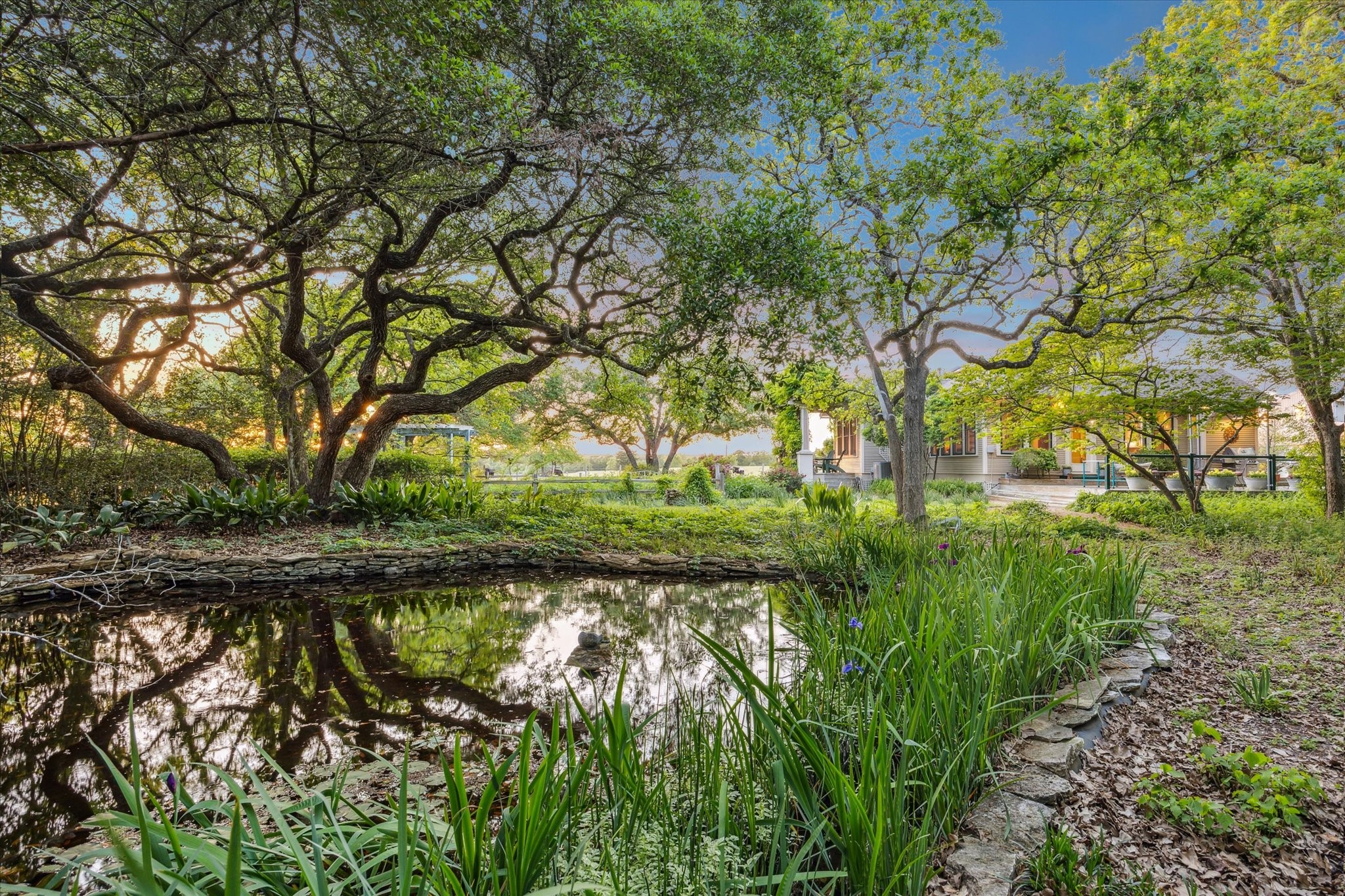 2915 Schulle Road Round Top, TX 78954 - Photo 47 of 50 A view from the small pond to the back of the home.