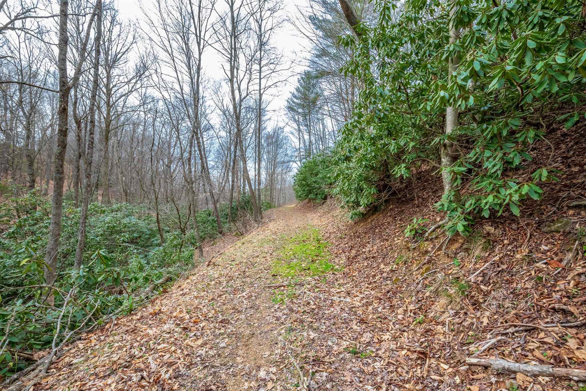 3-acres Winding Ridge Road Fancy Gap, VA 24328 - Photo 20 of 36 Gallery Image 20
