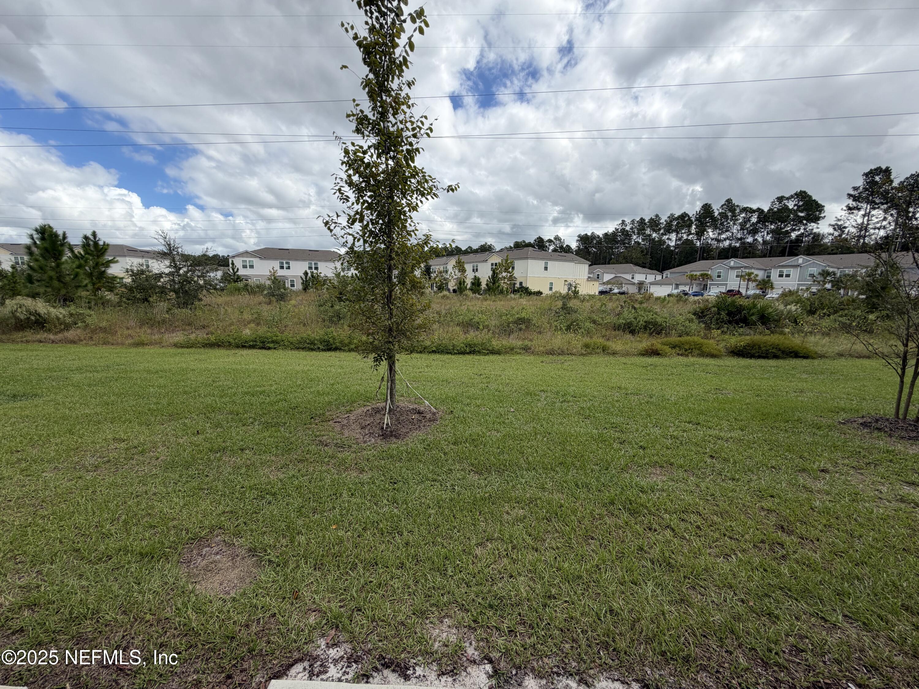 64 Java Lane St. Augustine, FL 32092 - Photo 31 of 38 a view of a garden with a lake