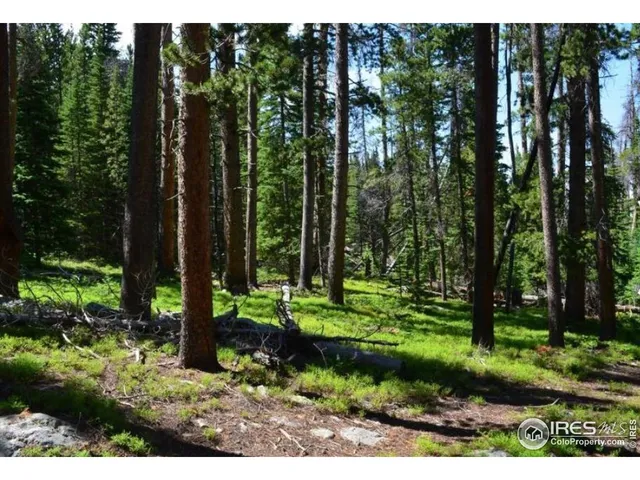 $995,000 | 3871 Forest Service 195 Red Feather Lakes, Red Feather Lakes, CO 80545
