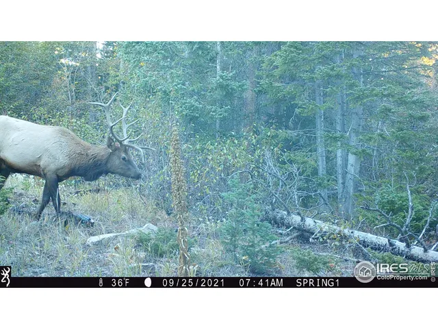 $995,000 | 3871 Forest Service 195 Red Feather Lakes, Red Feather Lakes, CO 80545