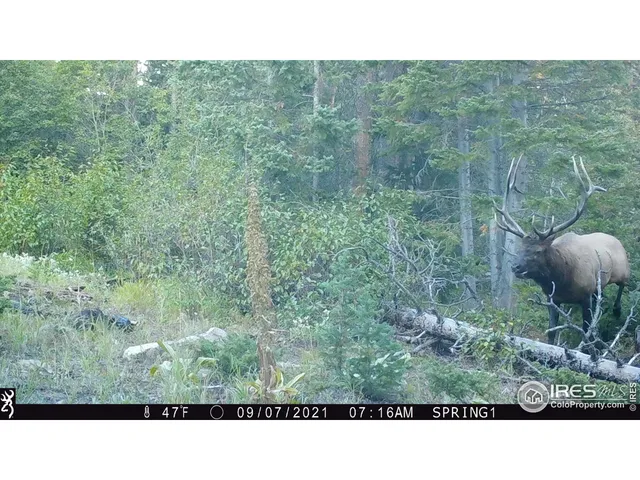 $995,000 | 3871 Forest Service 195 Red Feather Lakes, Red Feather Lakes, CO 80545