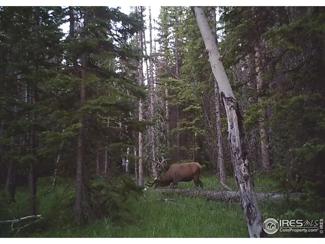 $995,000 | 3871 Forest Service 195 Red Feather Lakes, Red Feather Lakes, CO 80545