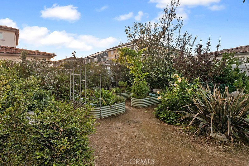 271 Rose Street Fillmore, CA 93015 - Photo 10 of 11 a view of a backyard with plants