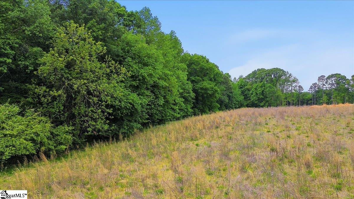 0 Parris Farm Road, Unit LOT 5 Chesnee, SC 29323 - Photo 16 of 26