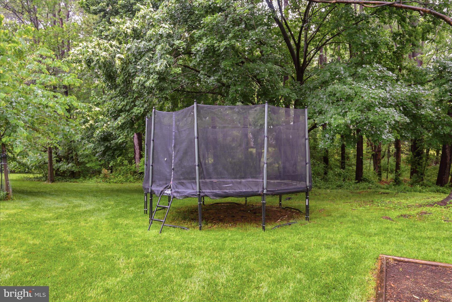 911 Riva Ridge Drive Great Falls, VA 22066 - Photo 52 of 55 Tranquil backyard with a trampoline.