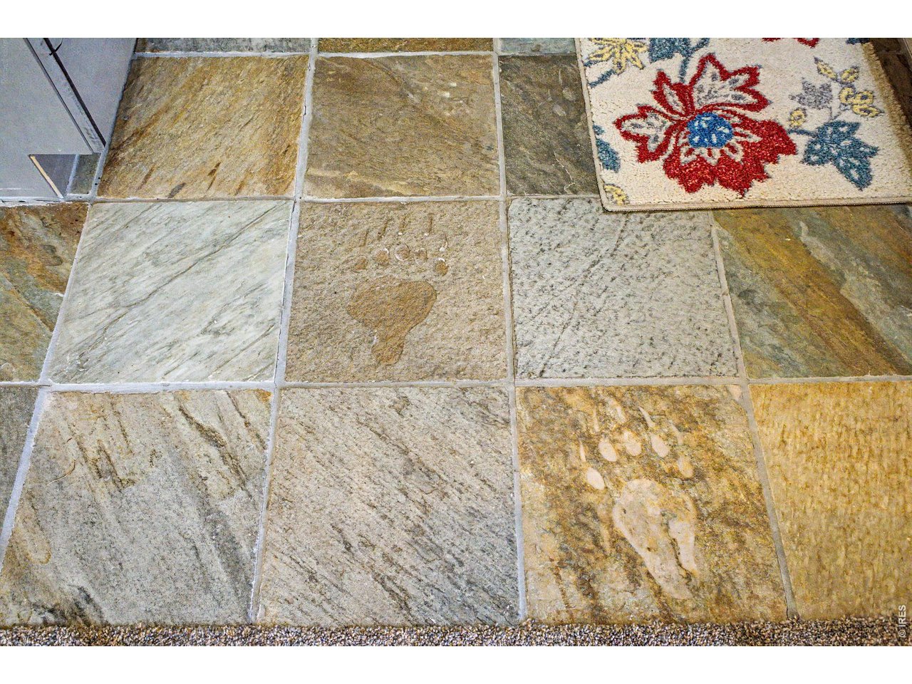 259 Riverside Drive Lyons, CO 80540 - Photo 37 of 50 Bear prints on the tile in the kitchen and in the 3/4 bath.