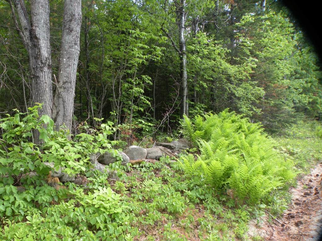 0 Ryerson Hill Road South Paris, ME 04281 - Photo 6 of 9 Photo