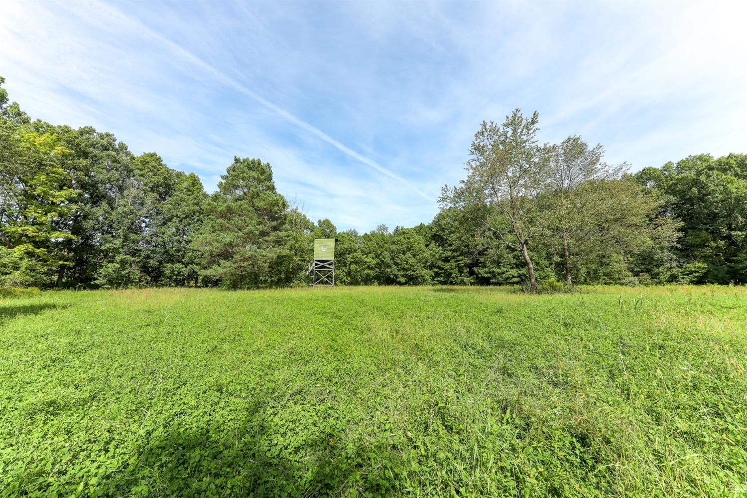 6308 Johnson Road Flushing, MI 48433 - Photo 56 of 69 Photo 56