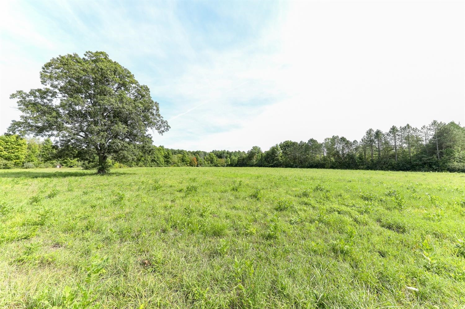 6308 Johnson Road Flushing, MI 48433 - Photo 57 of 69 Photo 57
