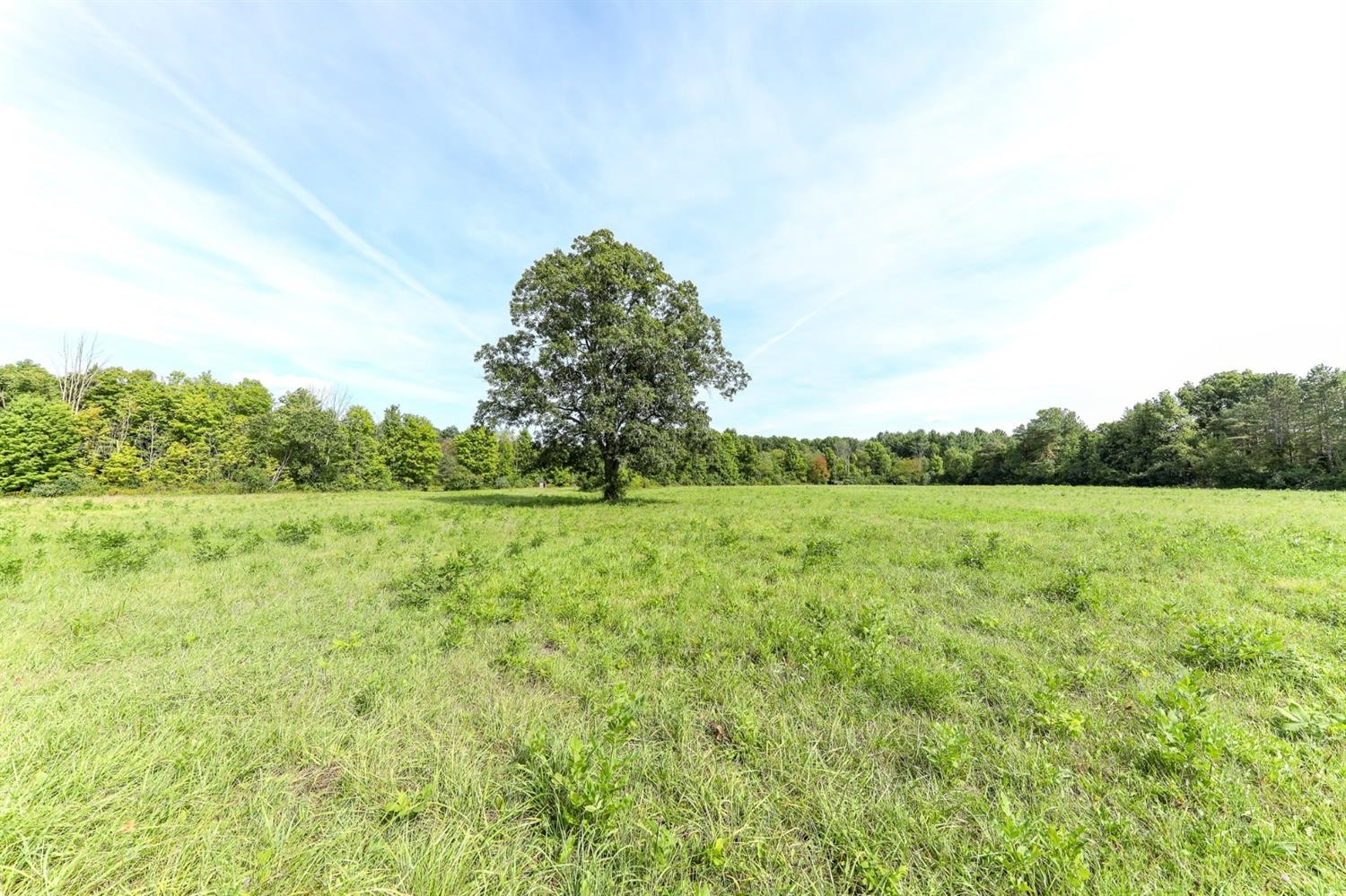 6308 Johnson Road Flushing, MI 48433 - Photo 60 of 69 Photo 60