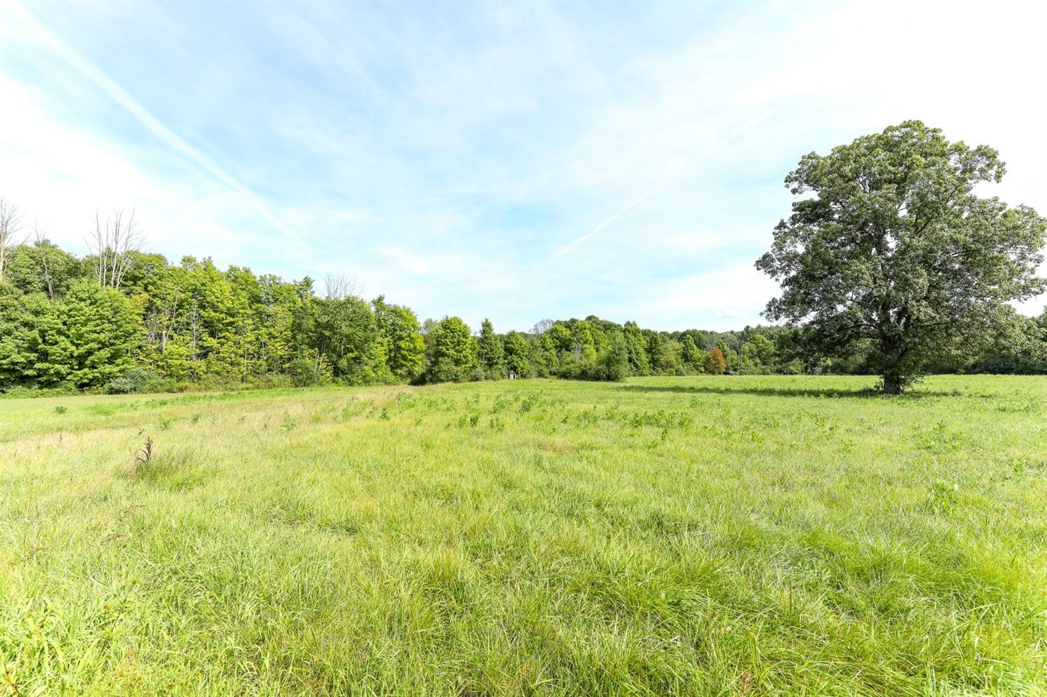 6308 Johnson Road Flushing, MI 48433 - Photo 61 of 69 Photo 61