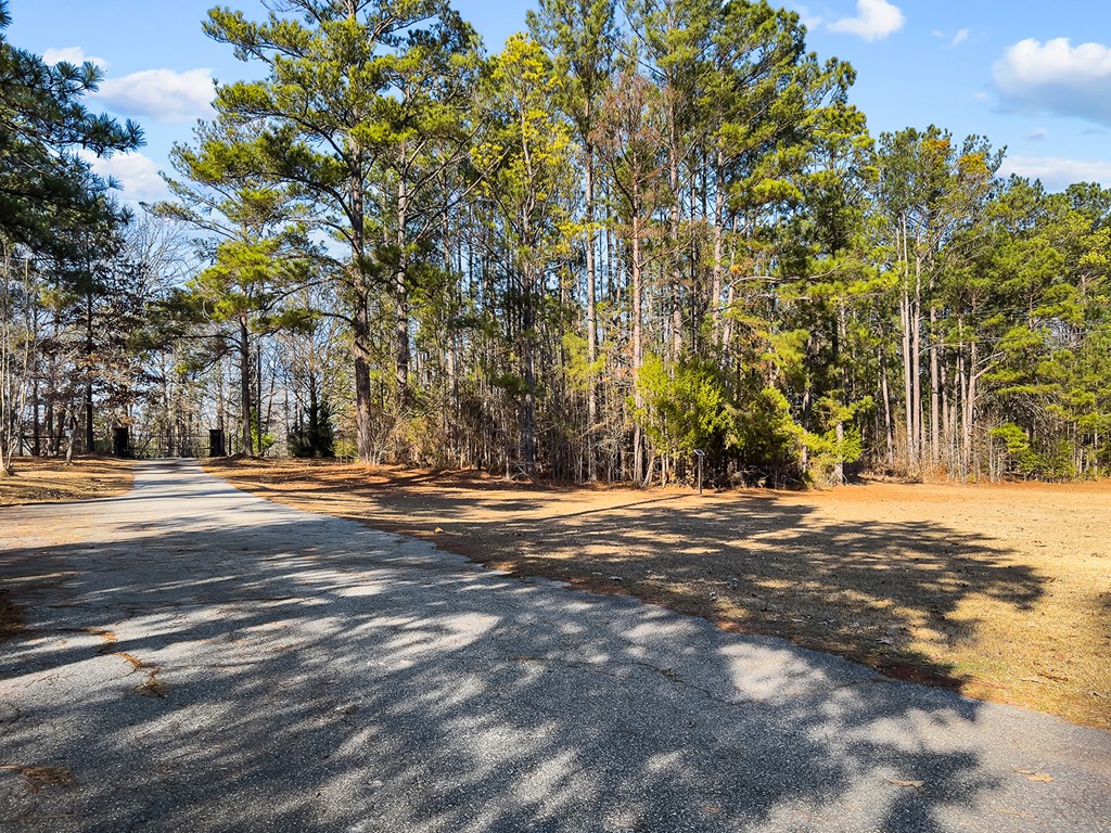 1085 Terry Lane Fortson, GA 31808 - Photo 4 of 21 a view of road and trees