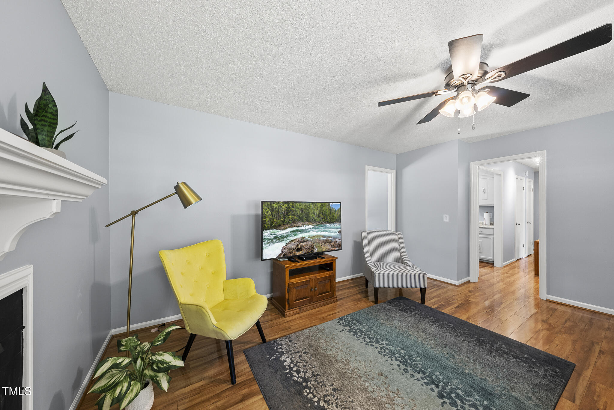 8613 Lobelia Street Raleigh, NC 27603 - Photo 7 of 25 a living room with furniture and a rug