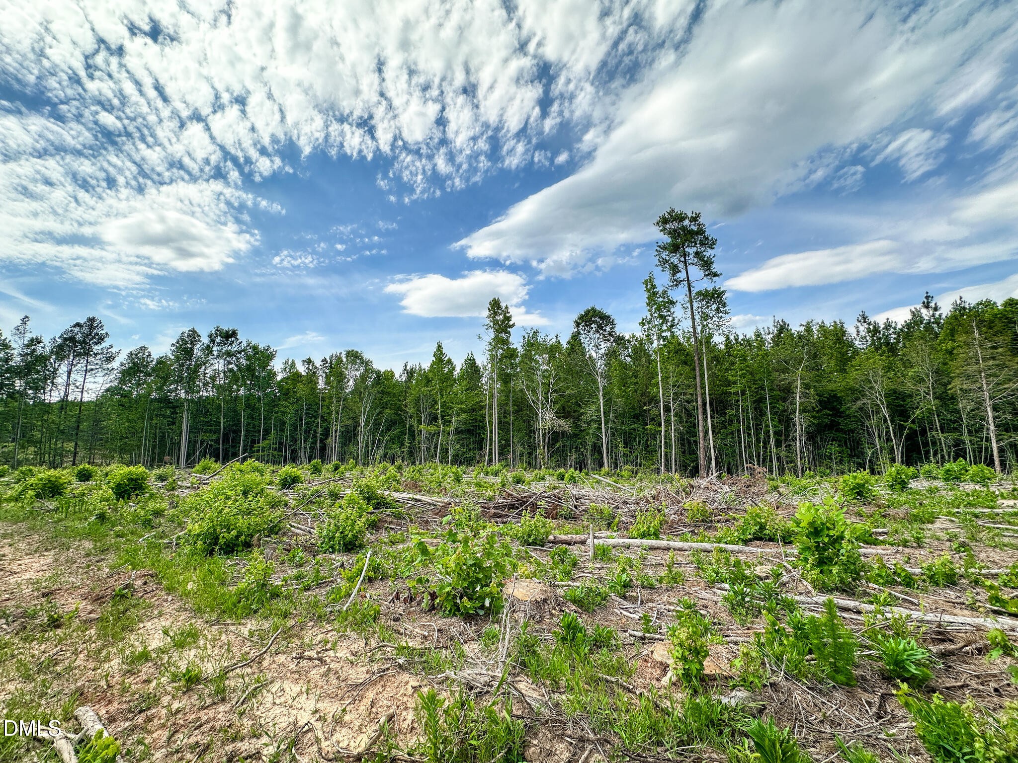 0 Baltimore Road Warrenton, NC 27589 - Photo 10 of 13