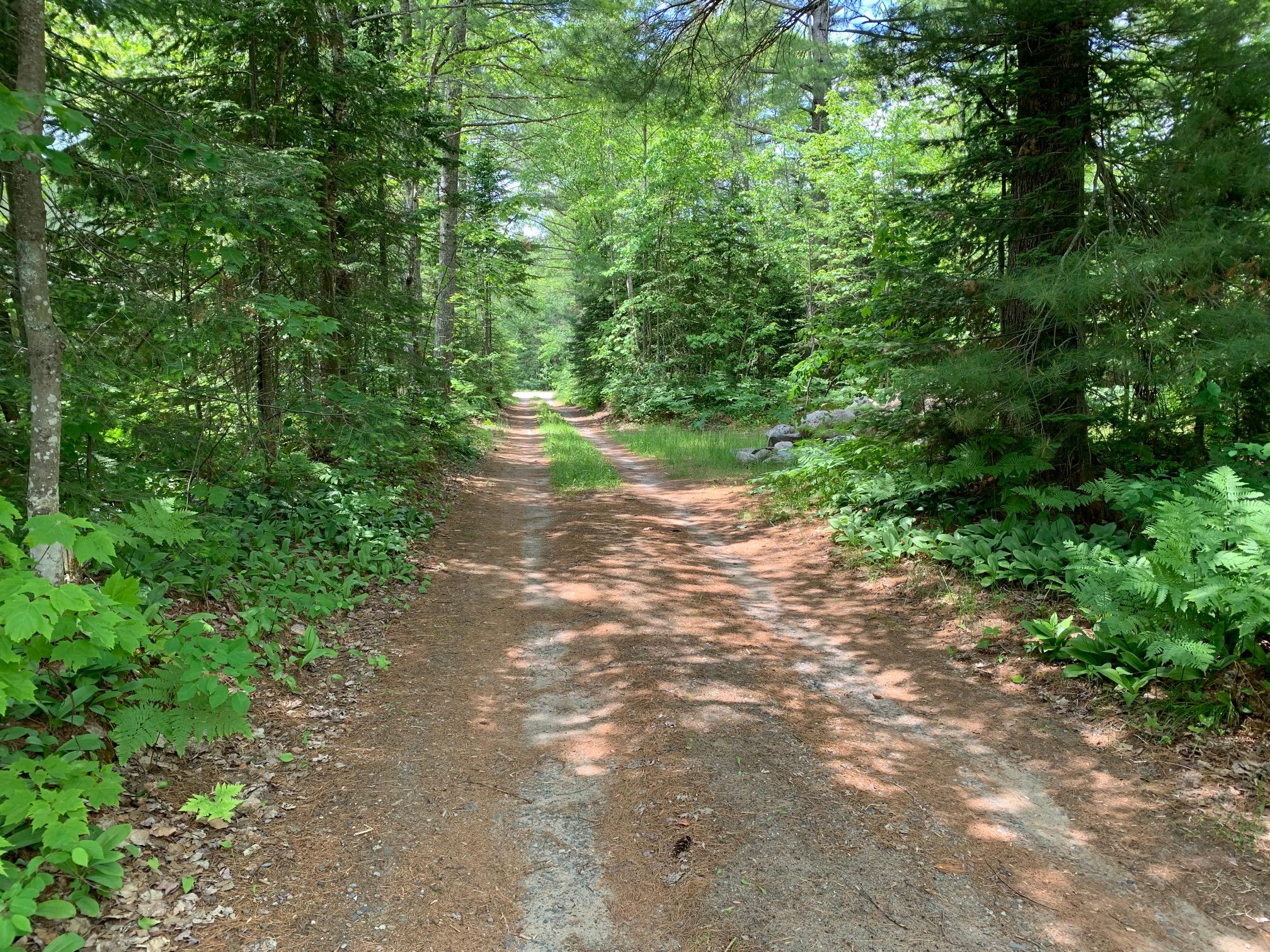 8404 North Whitefish Point Road Paradise, MI 49768 - Photo 26 of 29 Gallery Image 26