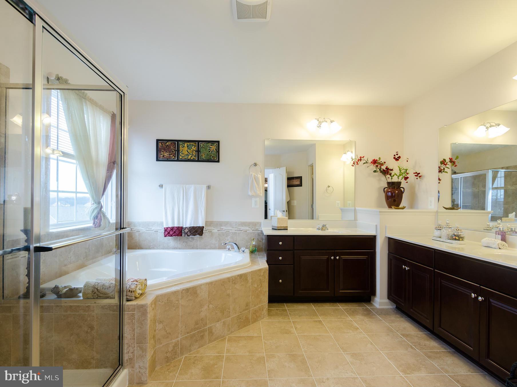 43134 Rocks Way Leesburg, VA 20176 - Photo 22 of 30 Bath (Master)