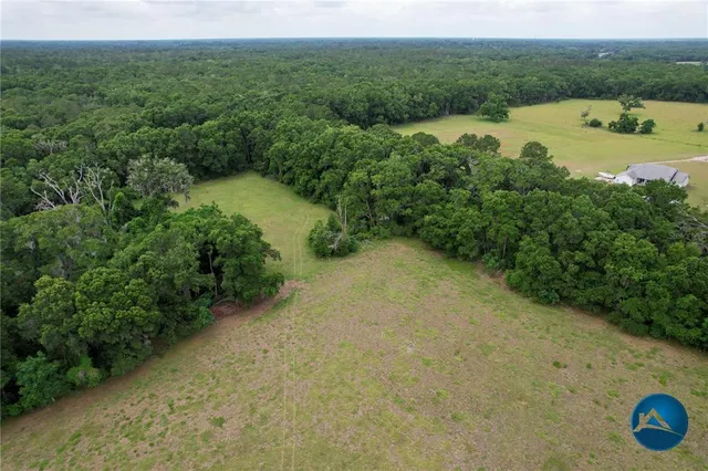 a view of a lake with a city