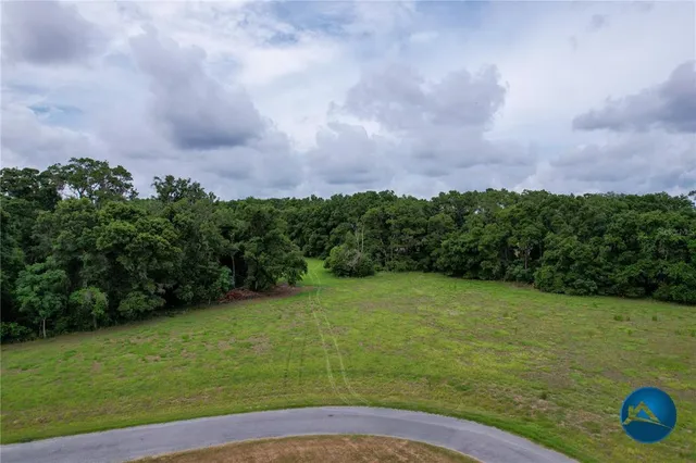 a view of a field with an trees in the background