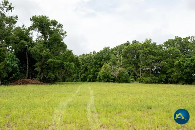a view of an outdoor space and a yard