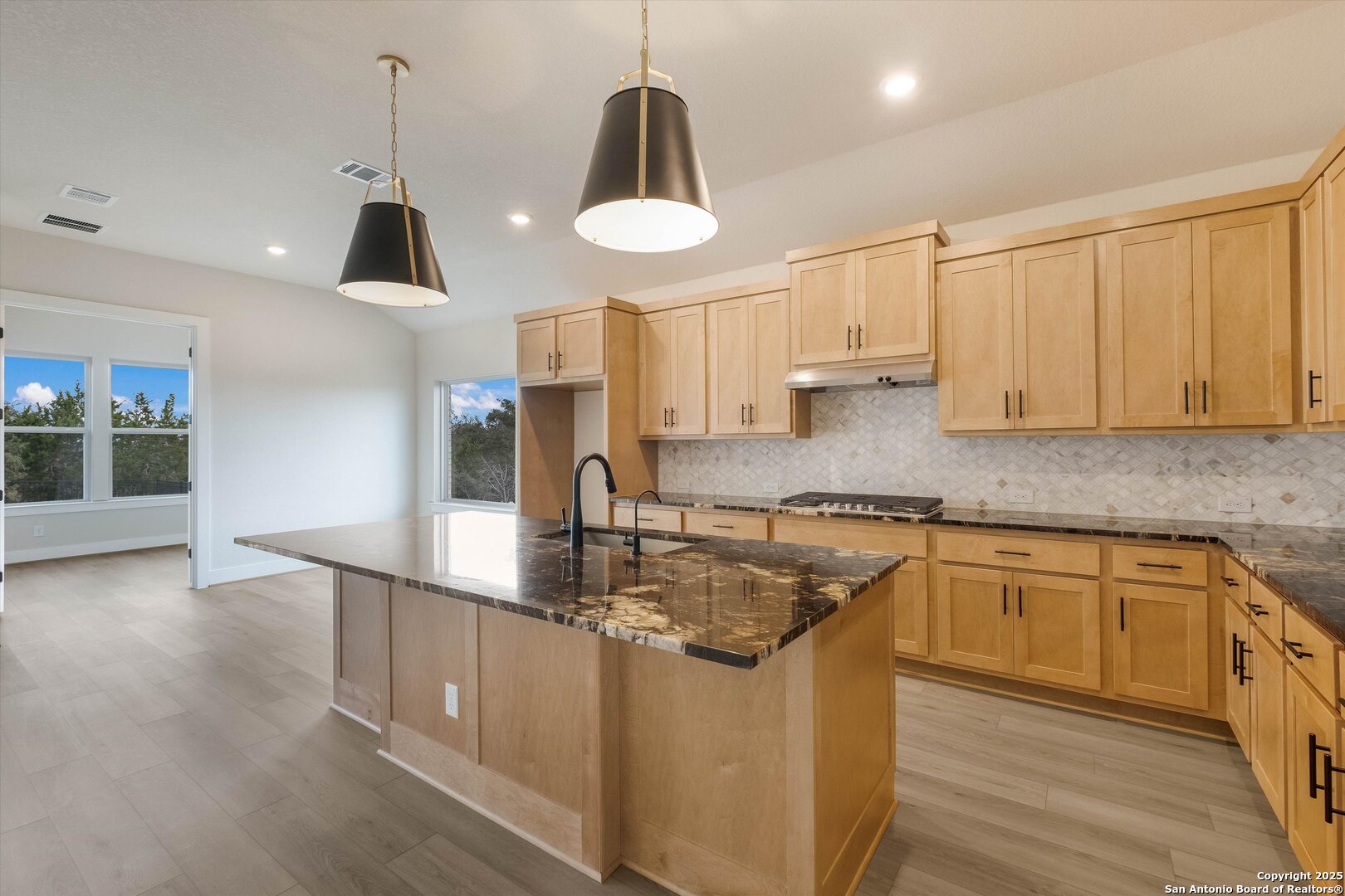 421 Fandango Boerne, TX 78006 - Photo 5 of 22