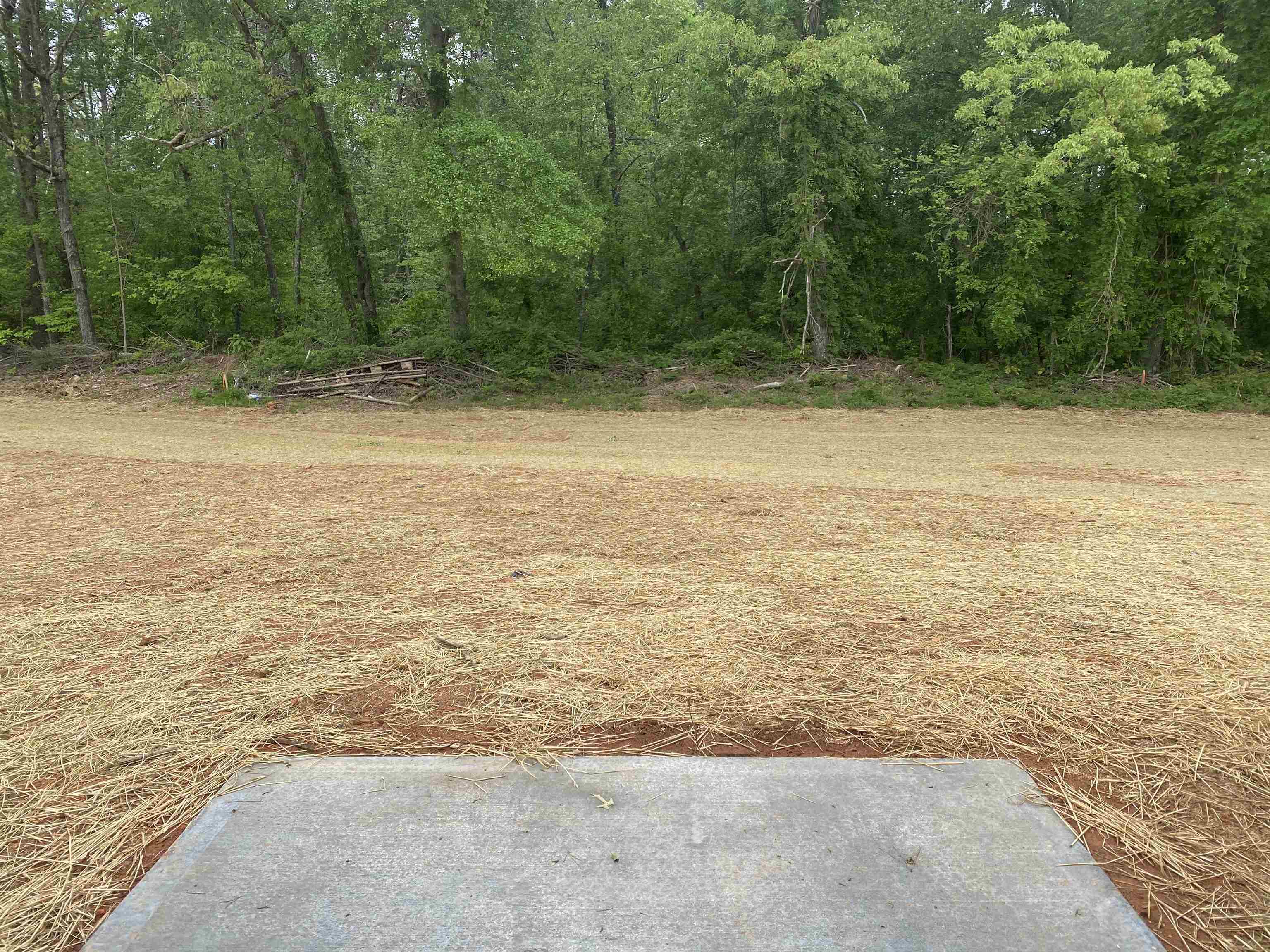 336 Skyline Road Greer, SC 29651 - Photo 10 of 10 Gallery Image 10