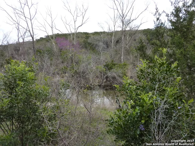 a view of a mountain view with lots of trees