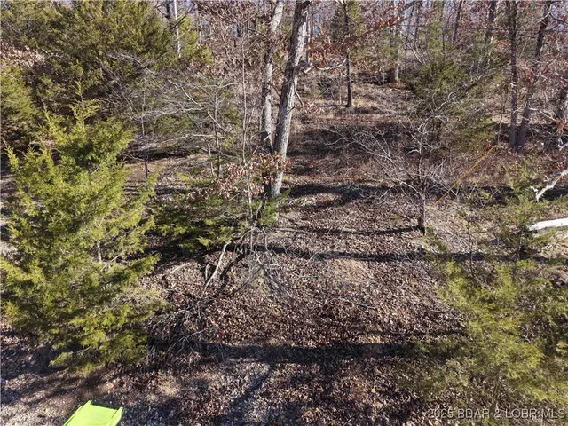 $15,500 | Anthony Cove Road, Camdenton, MO 65020