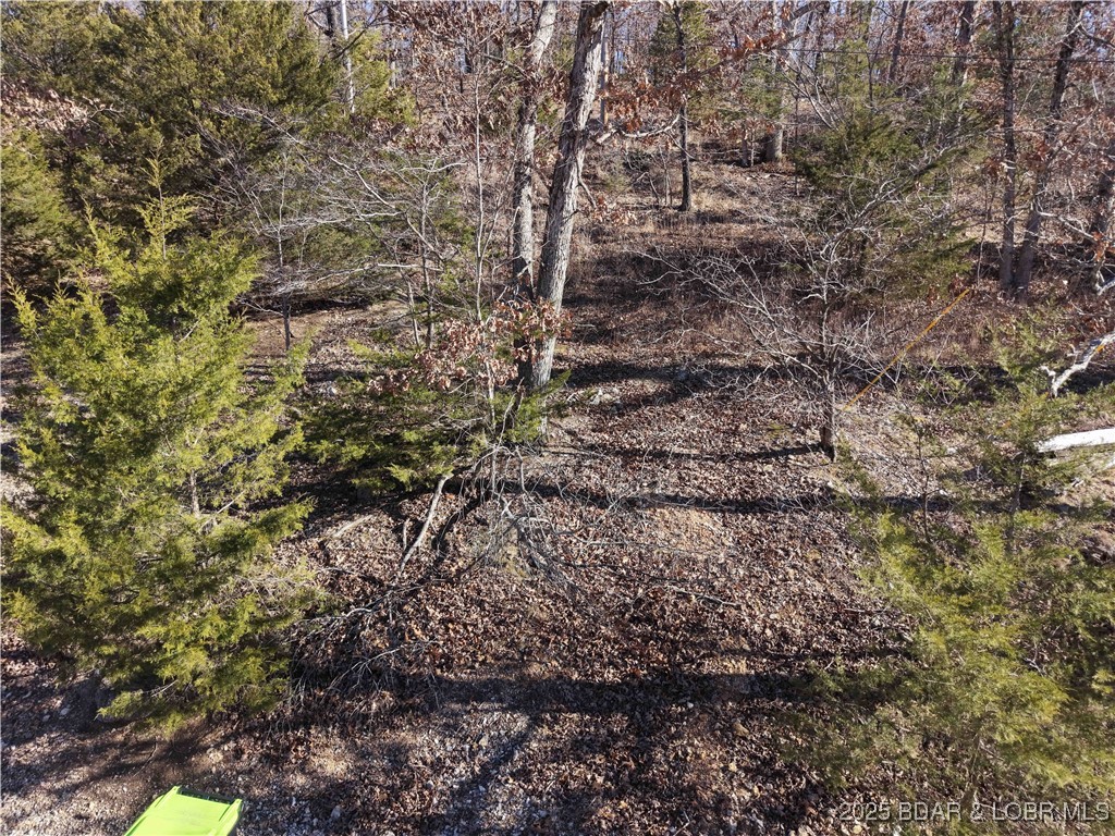 Anthony Cove Road Camdenton, MO 65020 - Photo 11 of 20